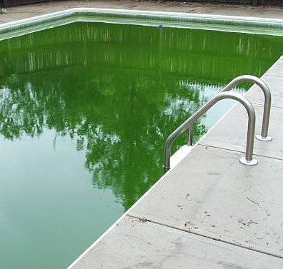 eau verte entretien piscine renaison proche roanne